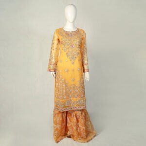 Stylish Ladies Dress PK-06